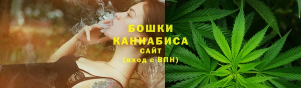 spice Богданович