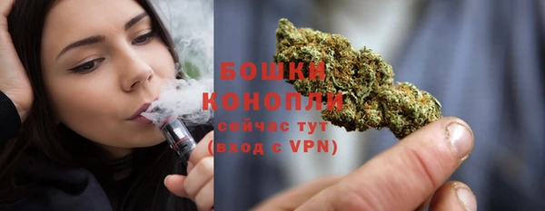 mix Богородск