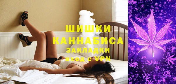 меф Богородицк