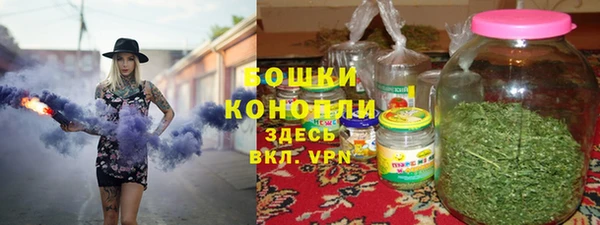 spice Богданович